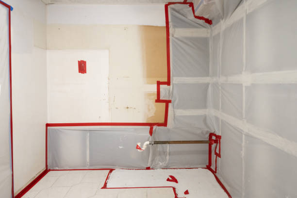 Best Mold Odor Removal Services  in North Charleroi, PA