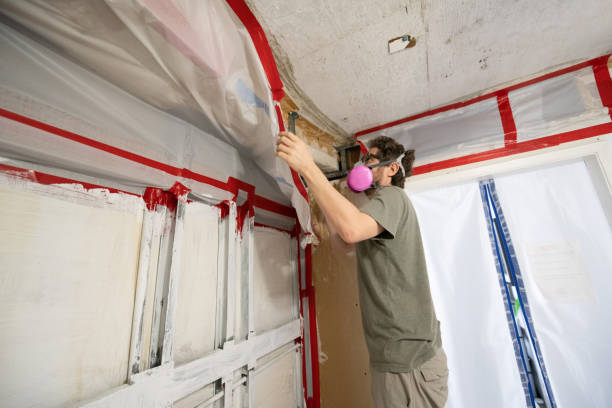 Best Residential Mold Inspection & Testing  in North Charleroi, PA
