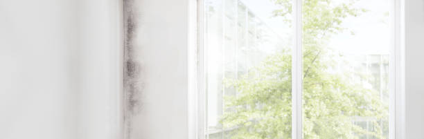 Best Forensic Mold Investigation  in North Charleroi, PA