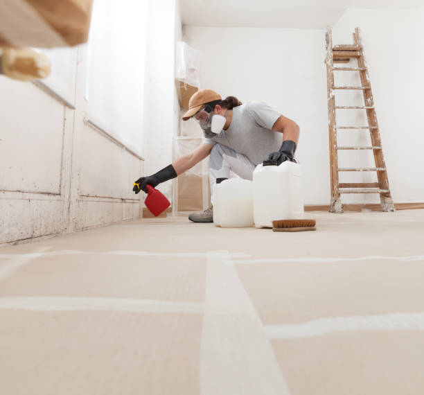 Best Industrial Mold Remediation  in North Charleroi, PA